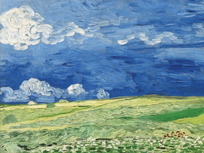 Grüne pflanzenfelder im licht der wolken