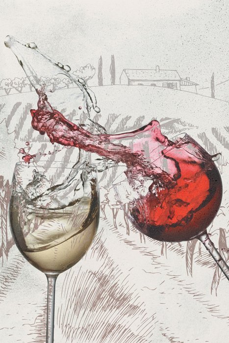 Weiß- und rotwein in gläsern mit blick auf die landschaft