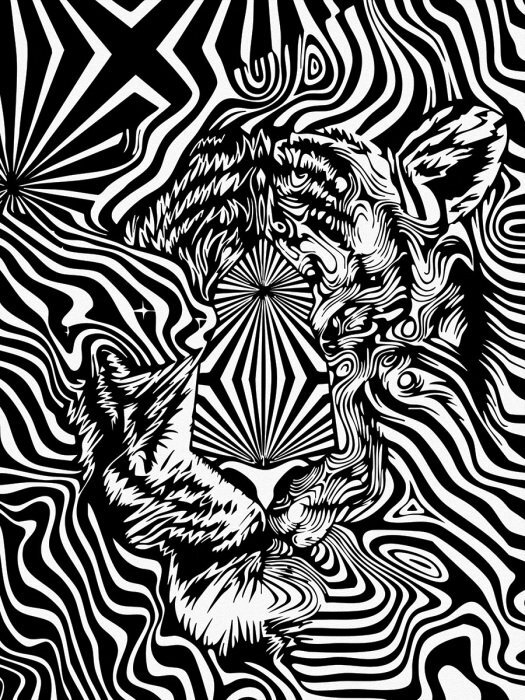 Wildkatzenblick in illusion