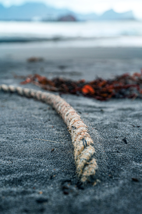 Nahaufnahme eines am strand angespülten seils
