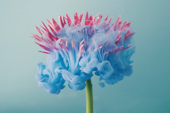 Aquarellblumen-farbexplosion