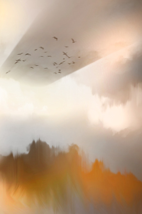 Eindruck von goldenem nebel über dem wald