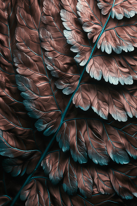 Strukturiertes kupferfarnblatt