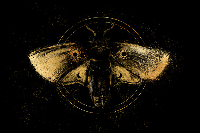 Ein goldener falter in dunkler komposition