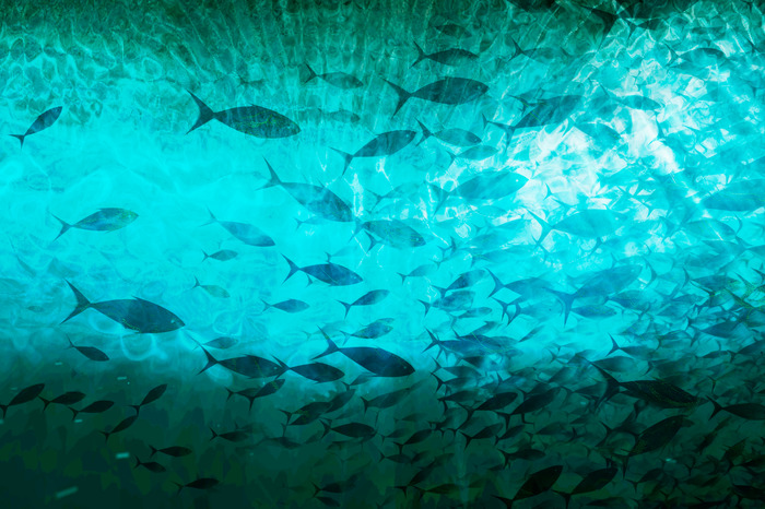 Fische in einem leuchtenden unterwasserrahmen