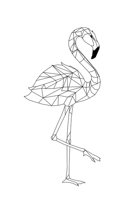 Minimalistische flamingo-illustration