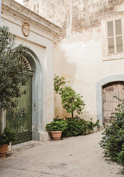 Olivenbaum und historische architektur