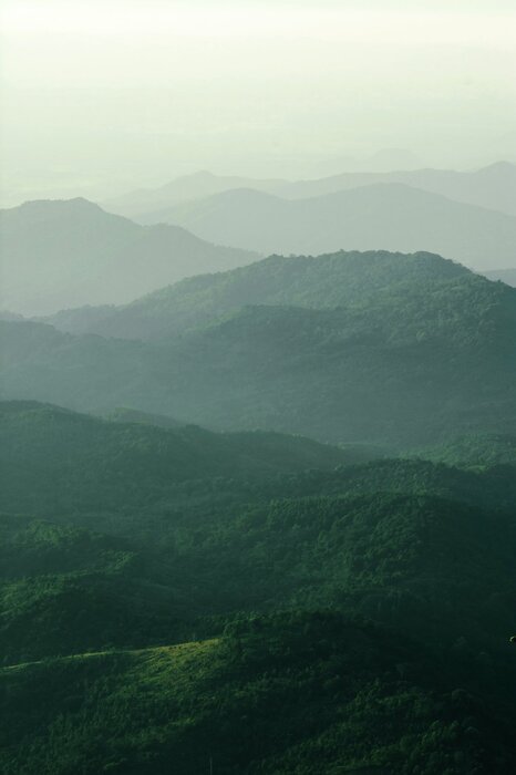 Grüne berglandschaft am morgen