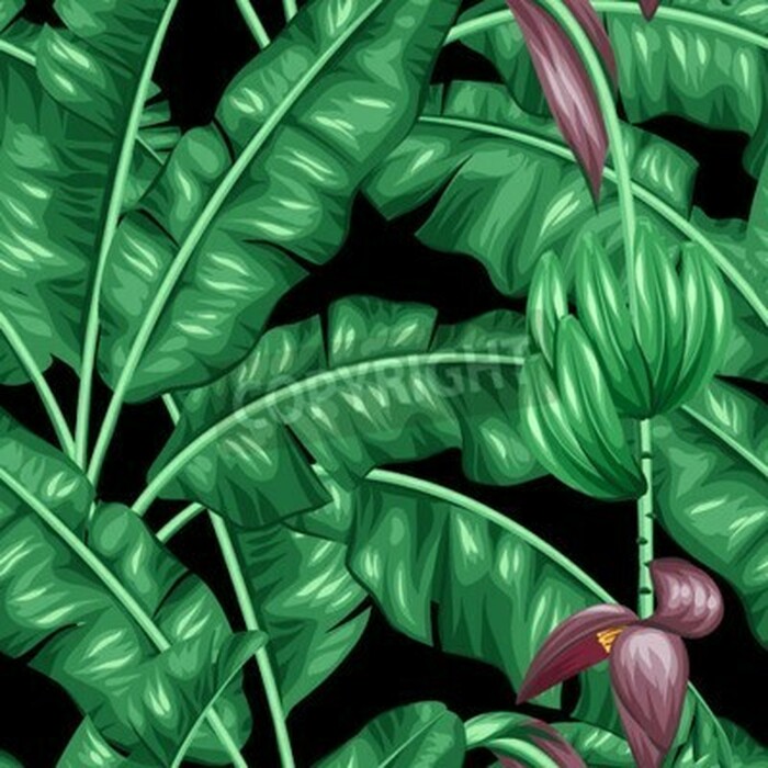 Fototapete Muster mit Natur vor schwarzem Hintergrund