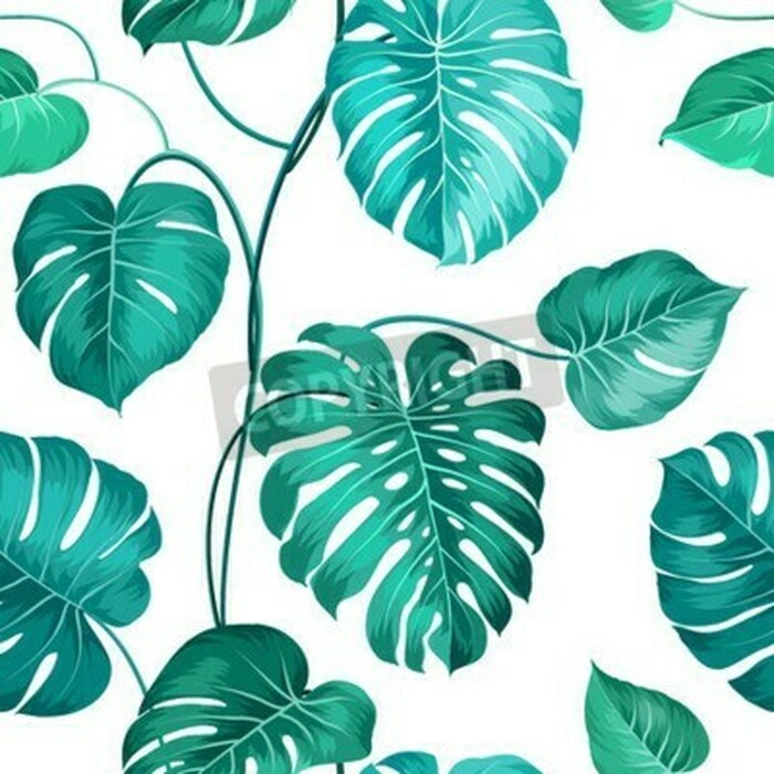 Fototapete Natürliche Blätter