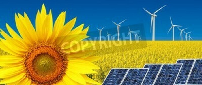 Bild Windpark und Sonnenblumen