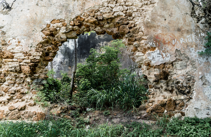 Fototapete Dschungel hinter einem Loch in der Wand