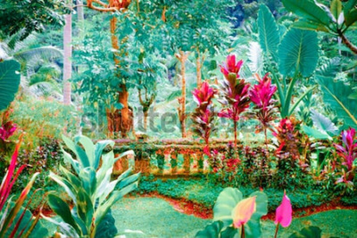 Bild Surrealistische Natur