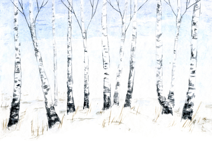 Bild Natur im Winter