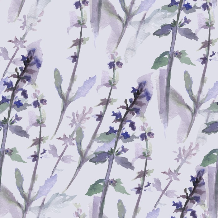 Bild Lavendel-Aquarellfarbe violett
