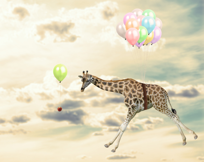 Bild Giraffe zwischen Wolken