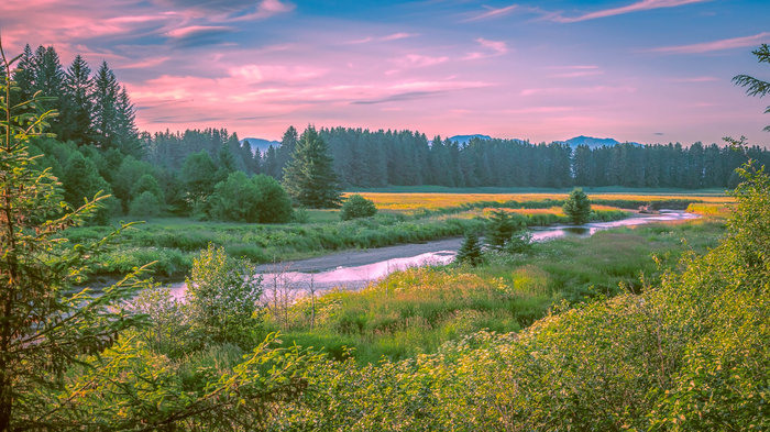 Bild Landschaft mit Wiesen