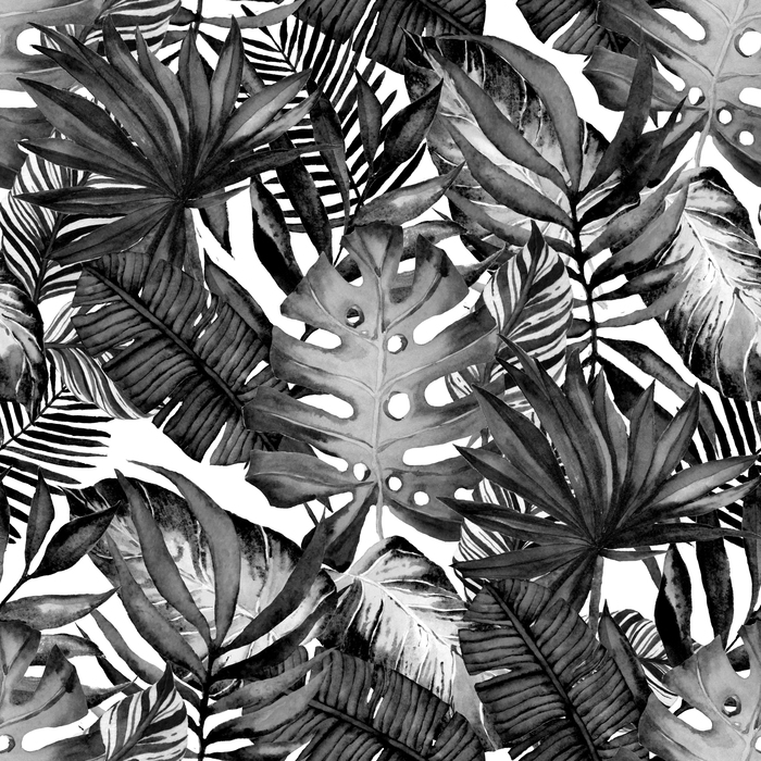 Bild Natur mit schwarz-weißen Blättern