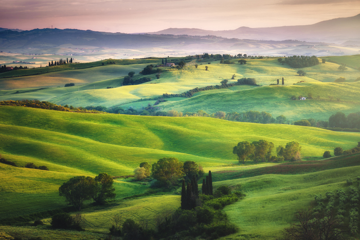 Fototapete Landschaft von grünen Feldern