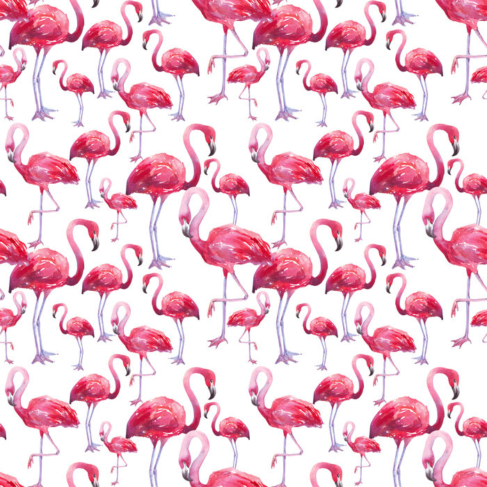 Fototapete Rosa Vögel auf weißem Hintergrund