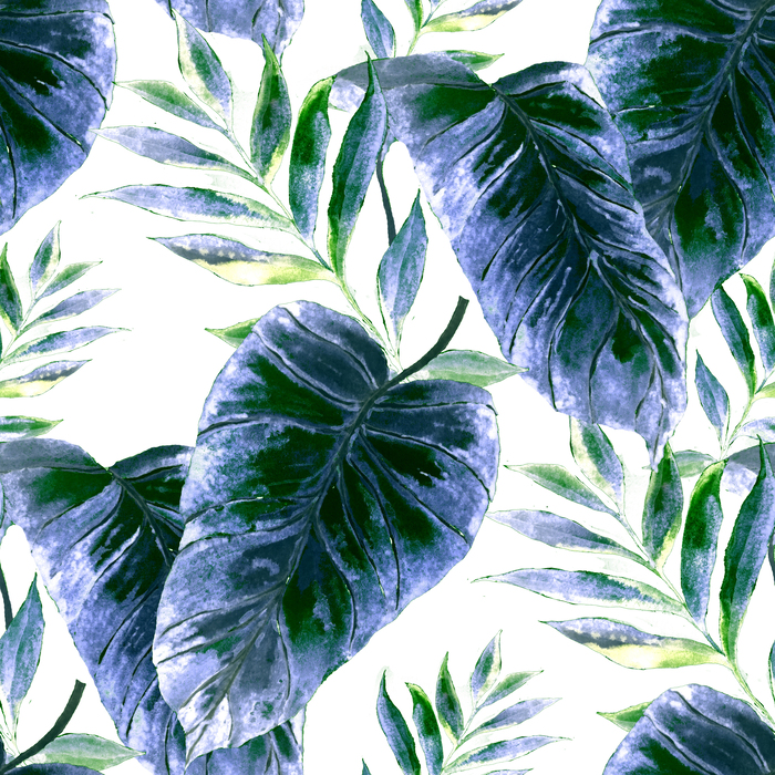 Bild Natur als tropische Blätter