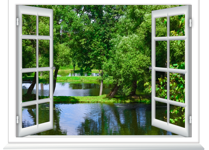 Fototapete Blick aus dem Fenster in den Gewässer und den Baum im Sommer