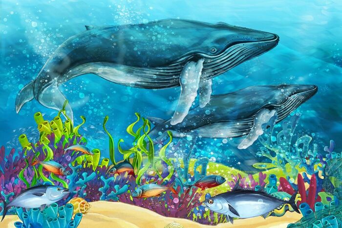 Fototapete Bunte Korallenriffe Fische und Wale märchenhafte Unterwasserlandschaft