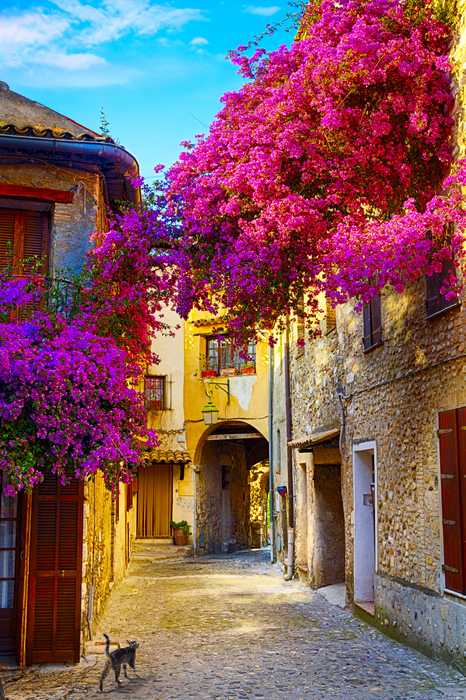 Poster Alte Straßen in der malerischen Provence