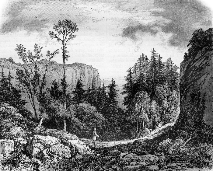 Bild Schwarz-weiße Landschaft mit Natur