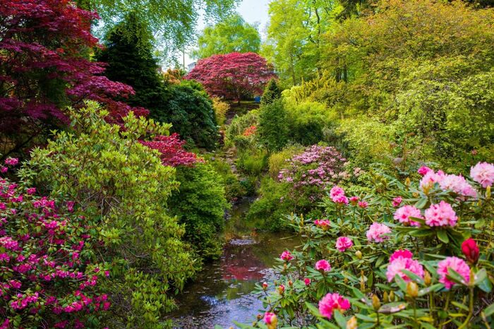 Fototapete Pflanzen und Blumen im botanischen Garten