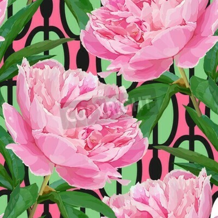 Bild Pfingstrosen und Blätter auf farbigem Hintergrund