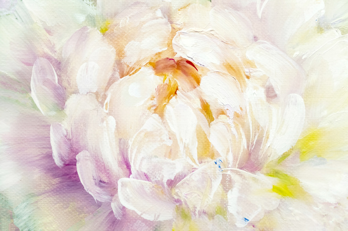 Bild Blühende Pfingstrose