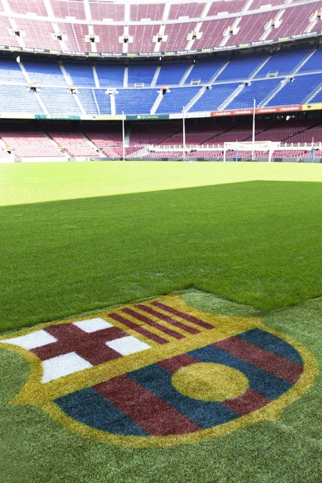 Fototapete Das Wappen des FC Barcelona auf dem Fußballplatz
