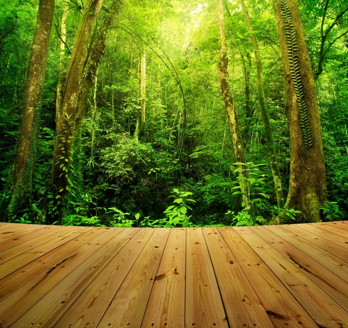 Fototapete Terrasse und Tropen