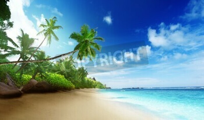 Fototapete Tropen Palmen und Strand