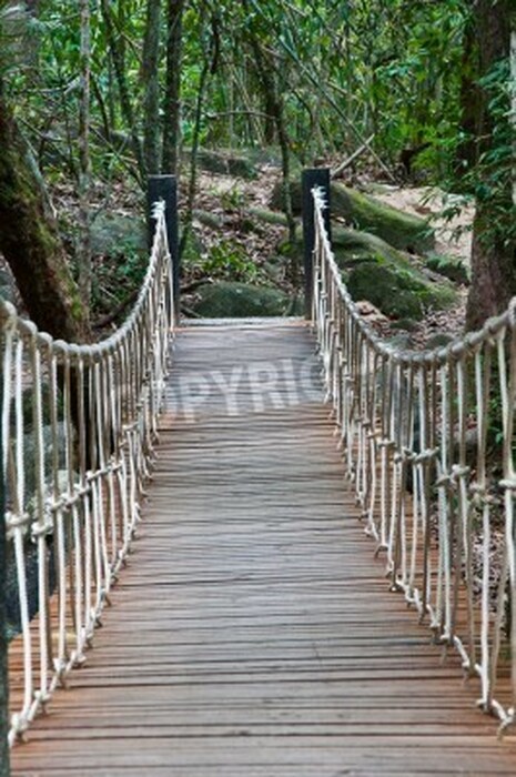 Fototapete Brücke inmitten vom Gebüsch