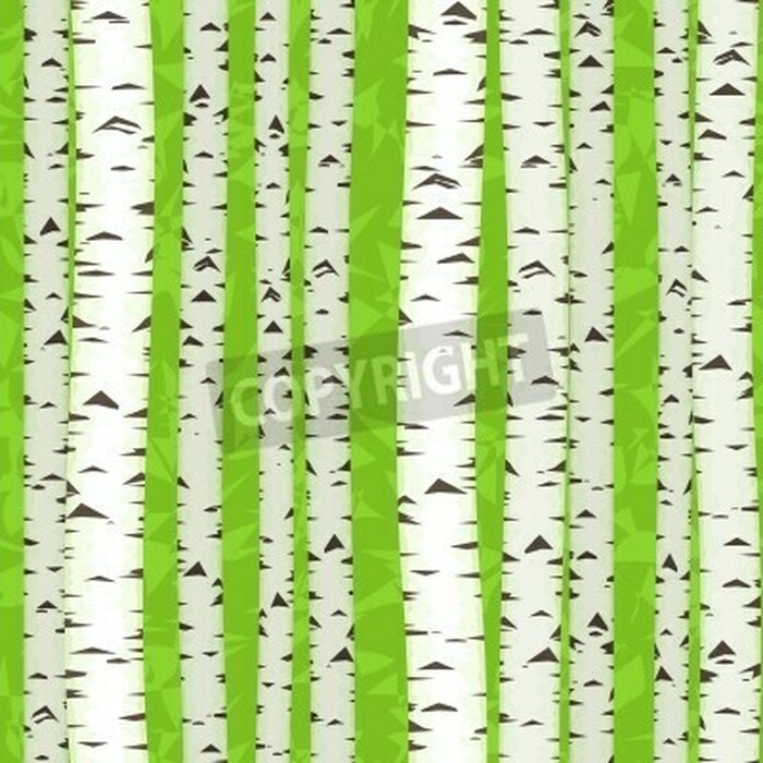 Fototapete Grafische Birken auf dem Hintergrund in Grün