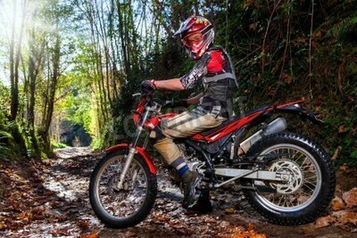 Fototapete Motorradfahrer auf einem Waldweg