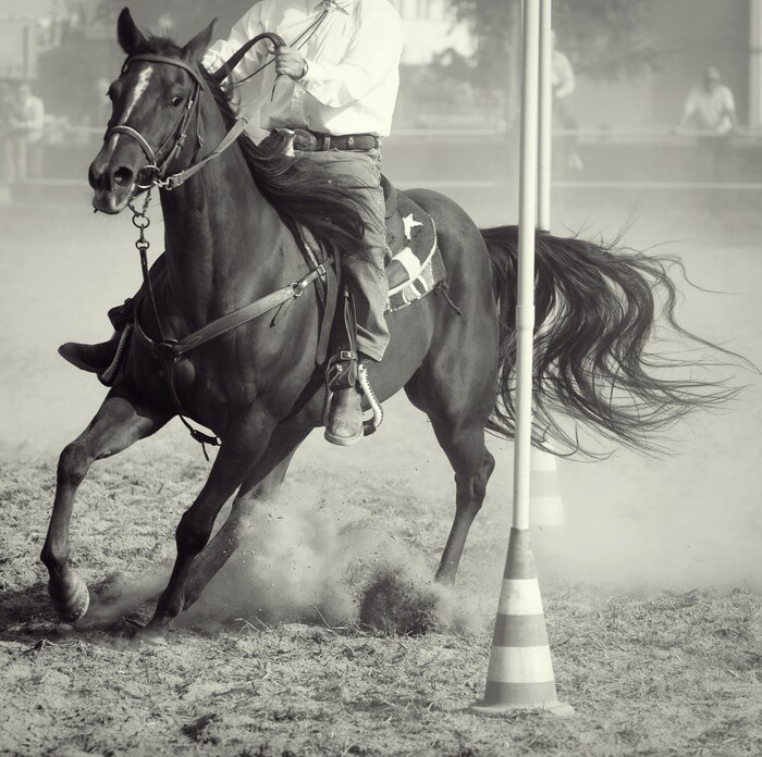 Fototapete Hengst mit einem rodeoreiter