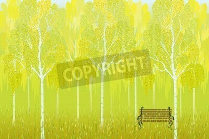 Fototapete Grüne Zeichnung von Birken