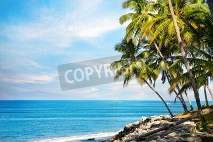 Fototapete Himmelblauer Ozean und Tropen