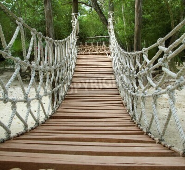 Fototapete Seilbrücke im Dschungel