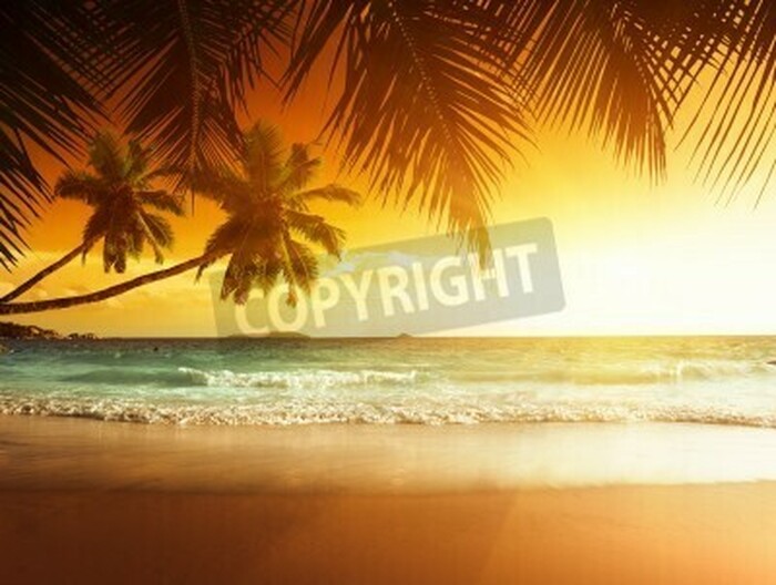 Fototapete Orangefarbener Sonnenuntergang über Tropen