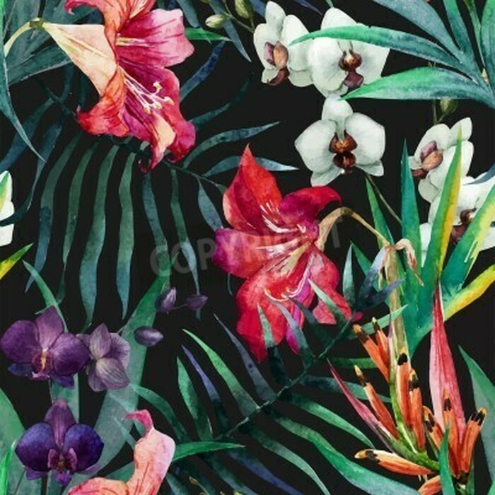 Fototapete Blumennatur vor dunklem Hintergrund