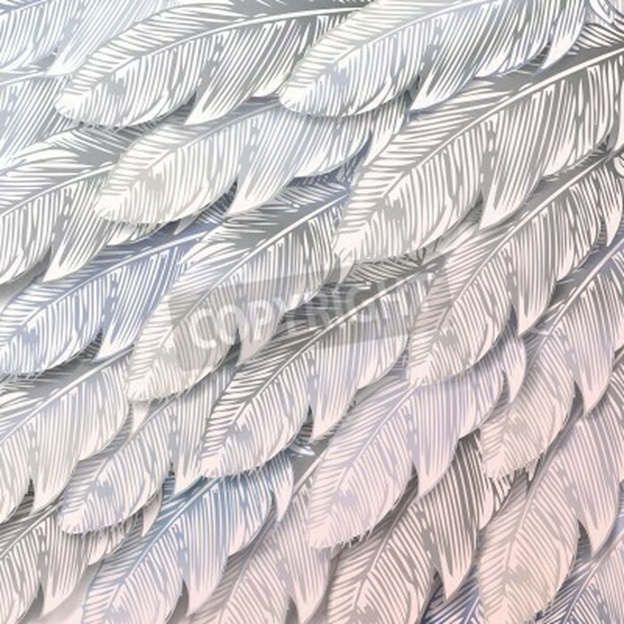 Fototapete Einfarbige Vogelfedern