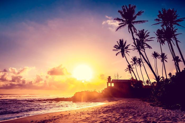 Fototapete Exotischer Sonnenuntergang