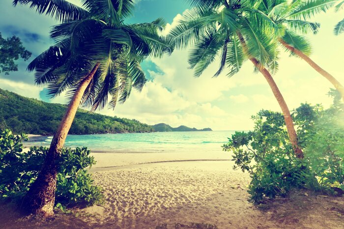 Fototapete Vintage Tropen und Strand