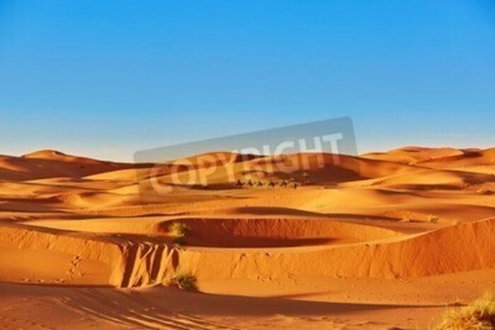 Fototapete Wüste Sahara und blauer Himmel