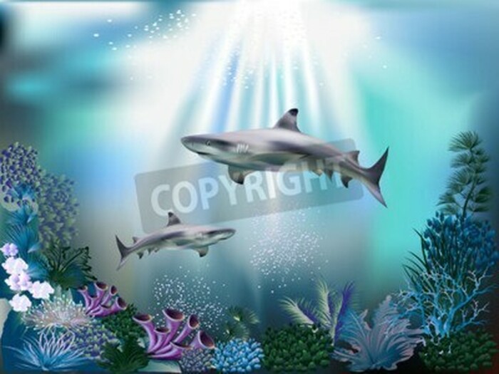 Fototapete Haie und Unterwasserpflanzen