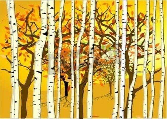 Fototapete Grafische Herbstbirken